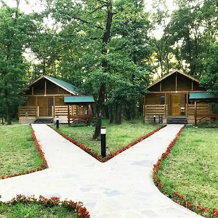 Daire Sakarya Il Ormani Tabiat Parki Evleri Sapanca